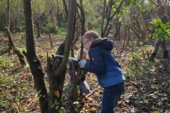MiniIMG_20221105_111644