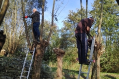 MiniIMG_20221105_111648