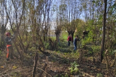 MiniIMG_20221105_111659