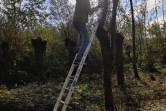MiniIMG_20221105_113559_1
