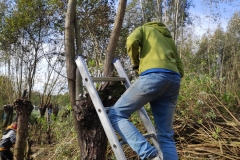 MiniIMG_20221105_113608