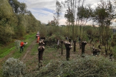MiniIMG_20221105_115842_1