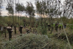 MiniIMG_20221105_115846