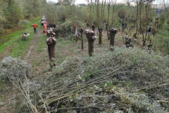 MiniIMG_20221105_115851