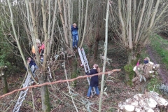 MiniIMG_20221105_115901
