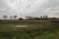 MiniIMG_20221105_142813
