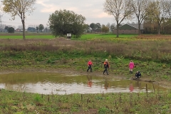 MiniIMG_20221105_142817