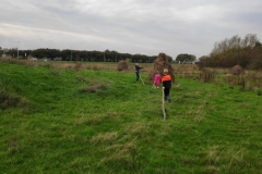 MiniIMG_20221105_143012