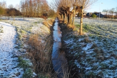 MiniIMG_20230311_075205