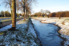 MiniIMG_20230311_075215