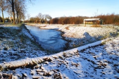 MiniIMG_20230311_075221