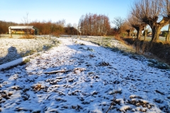 MiniIMG_20230311_075224