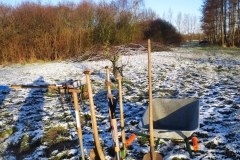 MiniIMG_20230311_080439