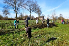 MiniIMG_20230311_095433