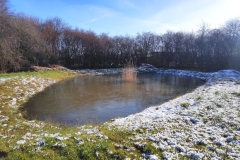 MiniIMG_20230311_100239