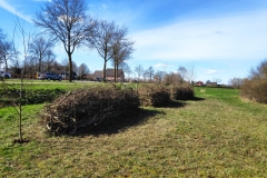 MiniIMG_20230311_125210
