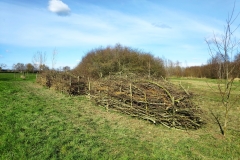 MiniIMG_20230311_125222