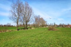 MiniIMG_20230311_125419