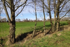 MiniIMG_20230311_125439