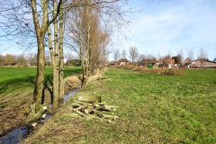 MiniIMG_20230311_125522_1