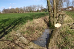MiniIMG_20230311_125538