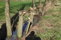 MiniIMG_20230311_125558