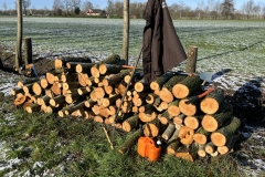 MiniIMG_2722