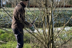 MiniIMG_2731