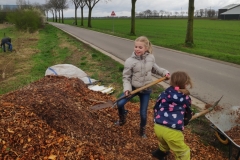 MiniIMG_20240316_103523