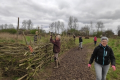 MiniIMG_20240316_112322