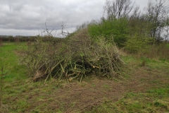 MiniIMG_20240316_112518_1