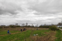 MiniIMG_20240316_120554_1