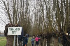 MiniIMG_2526