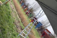 MiniIMG_2528