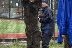 MiniIMG_2529