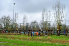 Mini_JG32679