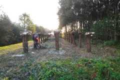 MiniIMG_20231104_081827