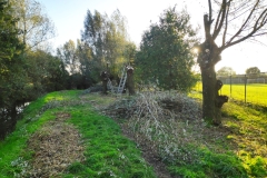 MiniIMG_20231104_084933
