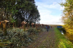 MiniIMG_20231104_091537