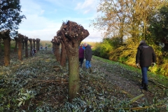 MiniIMG_20231104_091549_1