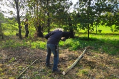 MiniIMG_20231104_093830