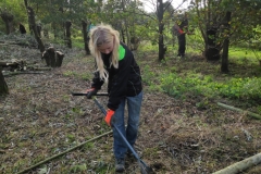 MiniIMG_20231104_093834_1