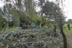 MiniIMG_20231104_093842