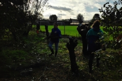 MiniIMG_20231104_093858