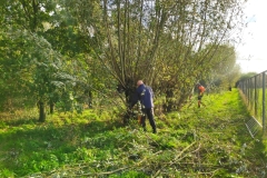 MiniIMG_20231104_093910