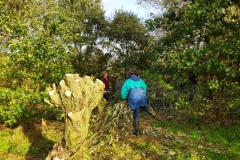MiniIMG_20231104_093913_1