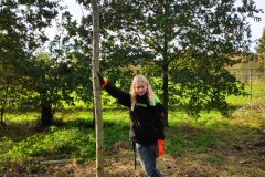 MiniIMG_20231104_094105