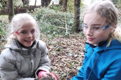 MiniIMG_20231104_102026