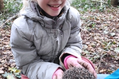 MiniIMG_20231104_102029