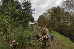 MiniIMG_20231104_113203
